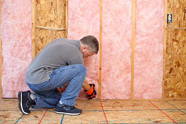 Types of Insulation We Offer in Gaylord, MN